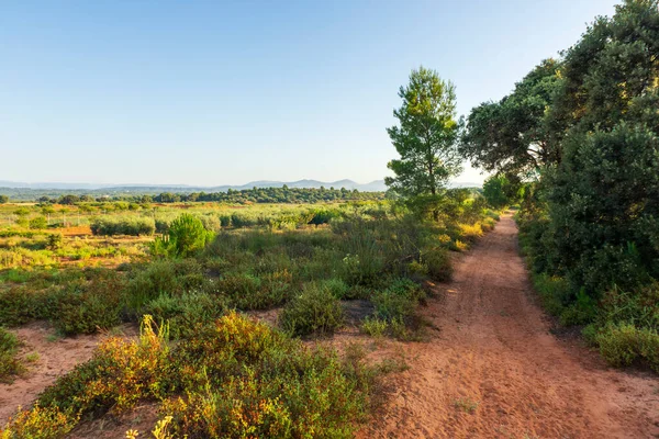 Gündoğumu Camino de Santiago boyunca ve Augusta de Castellon üzerinden, İspanya