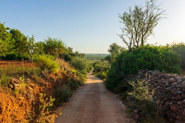 Gündoğumu Camino de Santiago boyunca ve Augusta de Castellon üzerinden, İspanya