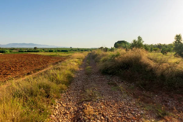 Gündoğumu Camino de Santiago boyunca ve Augusta de Castellon üzerinden, İspanya