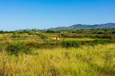 İspanya, Castellon 'dan geçerken Ağustosun manzarası