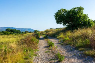 İspanya, Castellon 'dan geçerken Ağustosun manzarası