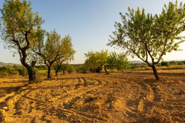 İspanya, San Mateu 'da günbatımında sakin bir manzara