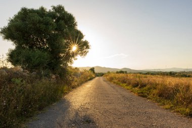 İspanya, San Mateu 'da günbatımında sakin bir manzara