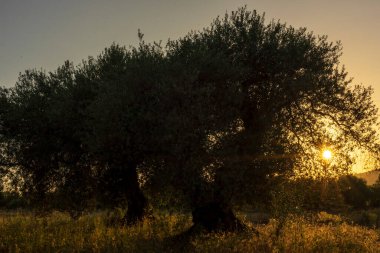 İspanya, San Mateu 'da günbatımında sakin bir manzara