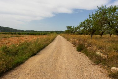 İspanya, Castellon 'dan geçerken Ağustosun manzarası