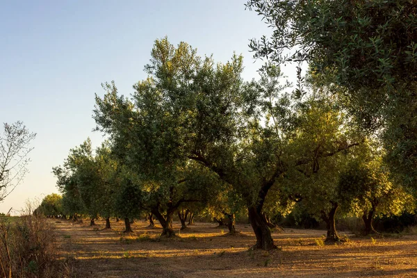 Scena Tranquilla Tramonto San Mateu Spagna — Foto Stock