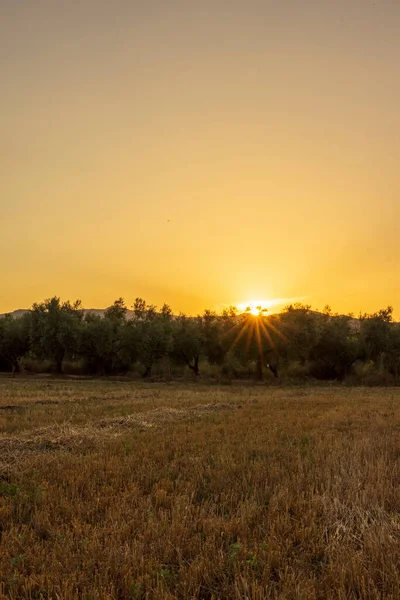 İspanya, San Mateu 'da günbatımında sakin bir manzara