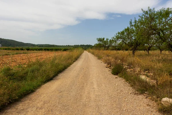 İspanya, Castellon 'dan geçerken Ağustosun manzarası