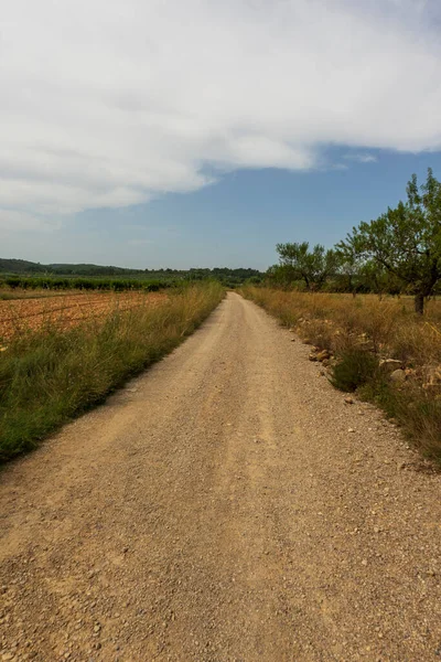 İspanya, Castellon 'dan geçerken Ağustosun manzarası