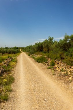 İspanya, Castellon 'dan geçerken Ağustosun manzarası
