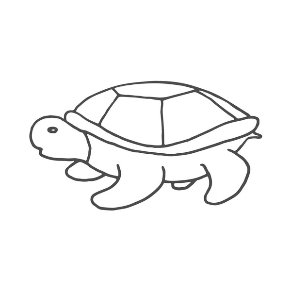 Handgezeichnetes Schildkrötenkritzel. Skizze Stilikone. Dekorationselement. isoliert auf weißem Hintergrund. flache Bauweise. Vektorillustration. — Stockvektor