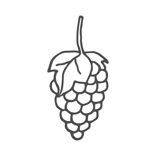 Ilustración de uvas dibujadas a mano. Ilustración vectorial aislada sobre fondo blanco . — Vector de stock