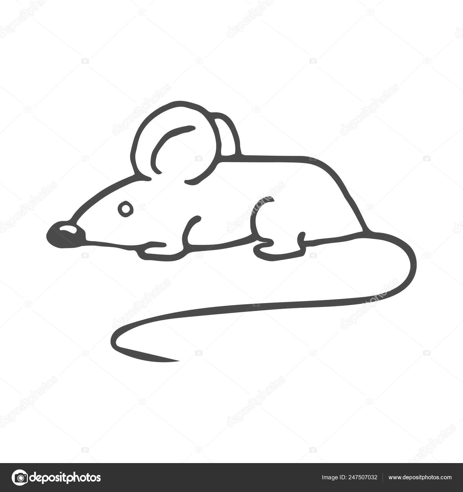 Lab Mouseストックベクター ロイヤリティフリーlab Mouseイラスト ページ 3 Depositphotos Lab Mouseストックベクター ロイヤリティフリーlab Mouseイラスト ページ 3 Depositphotos