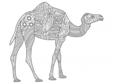 Deve ile El boyama sayfaları, yetişkin anti stres boyama kitapları veya beyaz arka plan izole yüksek ayrıntıları ile dövmeler için zentangle illüstrasyon.