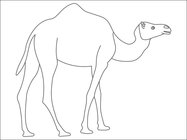 Svart och vit söt tecknad kamel. Målarbok för barnen. — Stock vektor