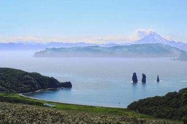 Rocks Three Brothers in Avacha Bay in Kamchatka. clipart