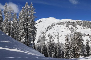 Ziller Vadisi'ndeki Alpler'deki kayak pisti