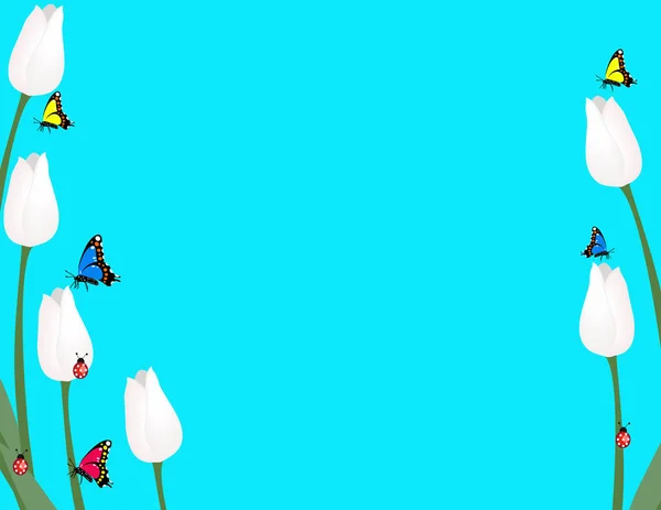 Güzel Beyaz Laleler Kelebekler Üzerinde Mavi Arka Plan Izole Ladybugs — Stok Vektör