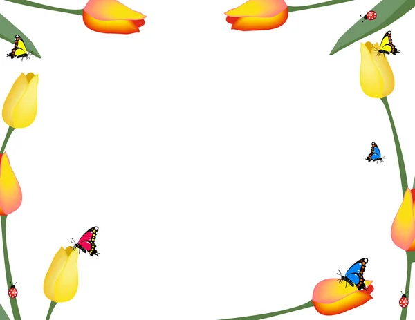 Mooie Tedere Tulpen Vlinders Lieveheersbeestjes Geïsoleerd Witte Achtergrond — Stockvector