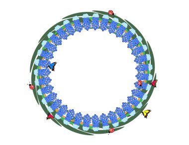 güzel yuvarlak çiçek çelenk muscari çiçekler, ladybugs ve beyaz arka plan üzerinde izole kelebekler