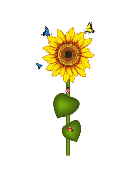 Girasol Una Sola Floración Con Insectos Mariposas Ilustración Vectorial — Vector de stock