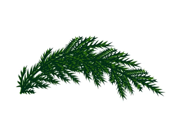 Ramo Árvore Natal Isolado —  Vetores de Stock