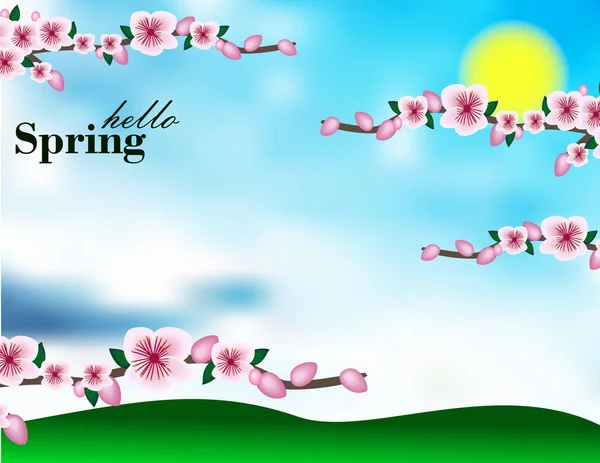 Ciao Primavera Sakura Banner — Vettoriale Stock
