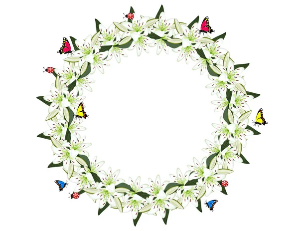 Rama Lily Kwiaty Motyle Biedronki — Wektor stockowy