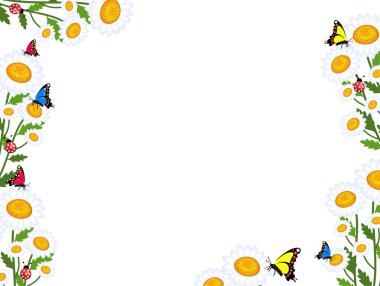 Papatya çiçekler arka plan çimen