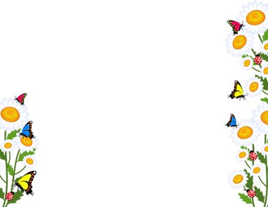 Papatya çiçekler arka plan çimen