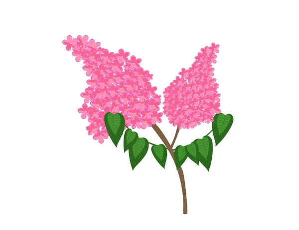 Lila Virág Dekor Ága — Stock Vector