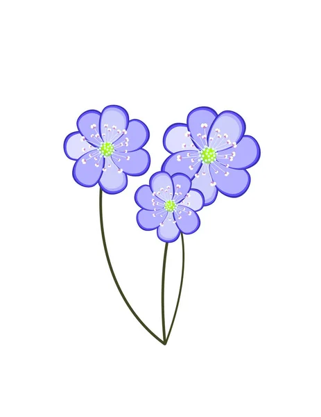 Цветы Первоцвета Синий Декор — стоковый вектор