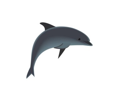 beyaz zemin üzerinde yunuslar