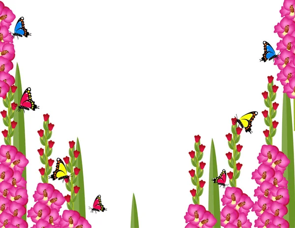 Gladiolus Décor Fond Fleur — Image vectorielle