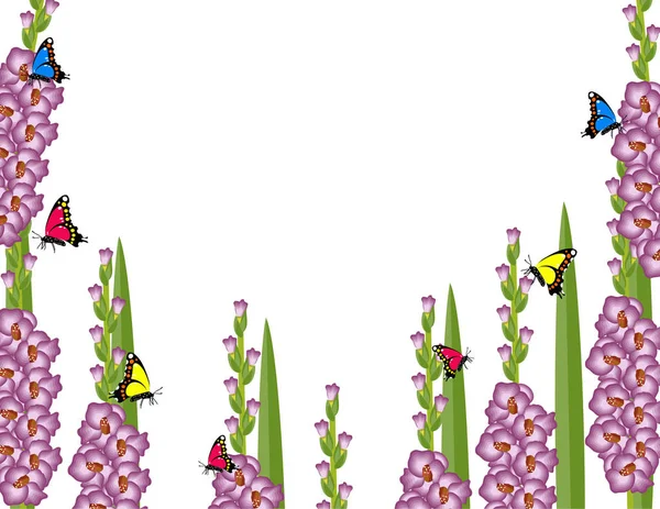 Gladiolus Décor Fond Fleur — Image vectorielle