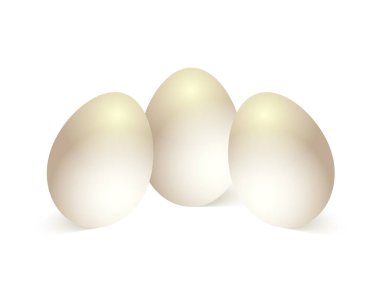 Beyaz arkaplanda tavuk yumurtası