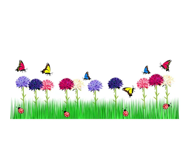 Zomer Gras Vlinder Bloemen — Stockvector