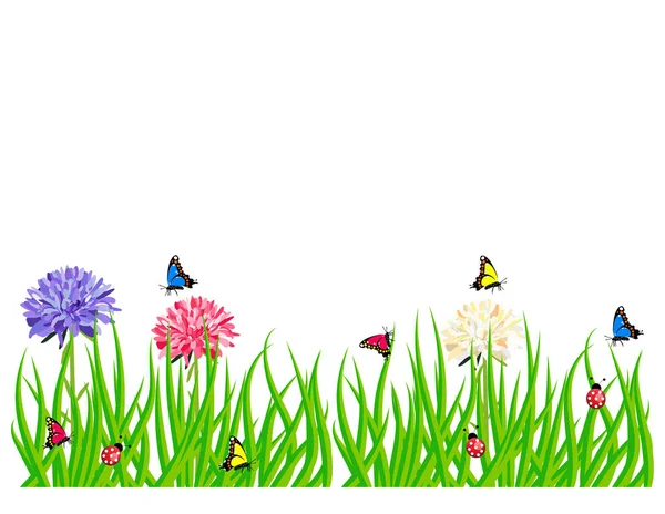 Zomer Gras Vlinder Bloemen — Stockvector
