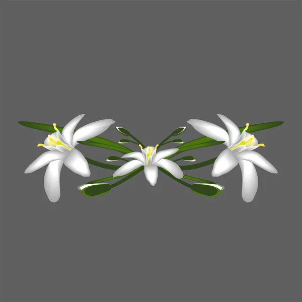 Primroses flowers white decor isolated