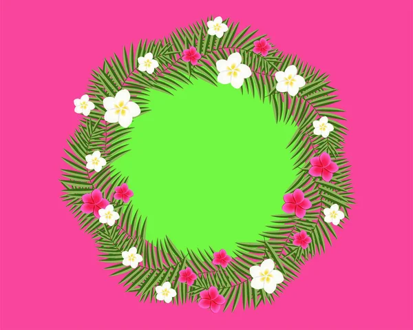 Frame Olive Branch Bloemen Plumeria — Stockvector