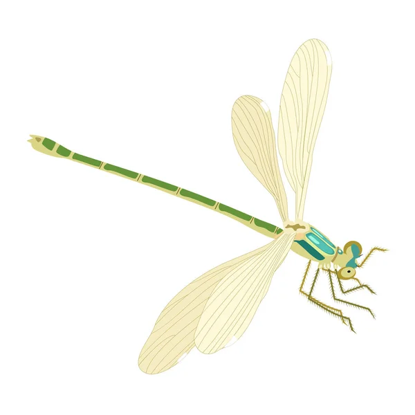 Insect Dragonfly Flying Decor Geïsoleerd — Stockvector