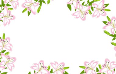 Lily çiçek çerçeve dekorasyon izole