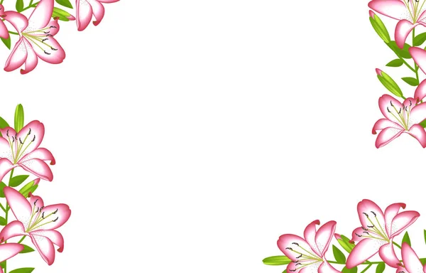 Lily Λουλούδι Διακόσμηση Κορνίζα Απομονωμένη — Διανυσματικό Αρχείο
