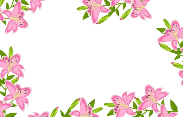 Обособленное Украшение Цветочной Рамки Лили — стоковый вектор