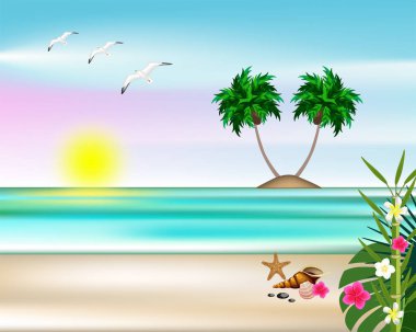 Deniz çiçekleri bitkiler plaj arka plan