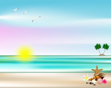 Deniz çiçekleri bitkiler plaj arka plan