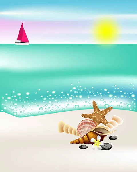 Seashells Beach Banner — Stock Vector