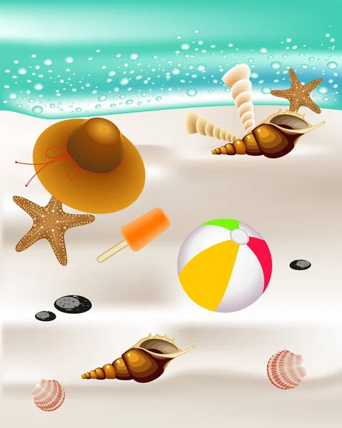 Seashells Beach Banner — Stock Vector