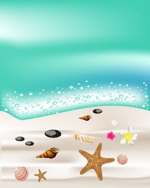 Sahil afişüzerinde deniz kabukları