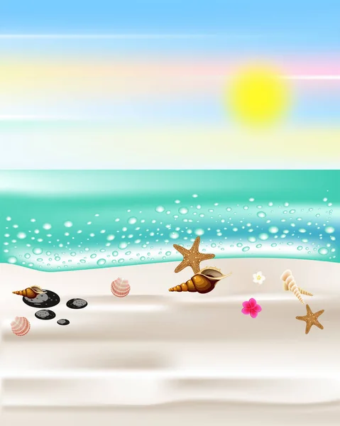 Seashells Beach Banner — Stock Vector